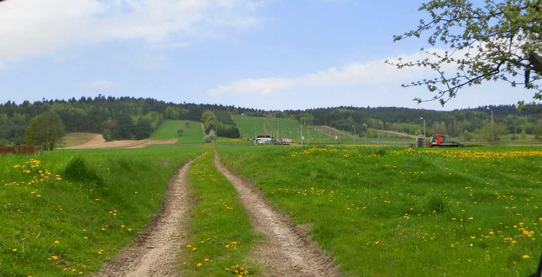 168769-wlf1.jpg