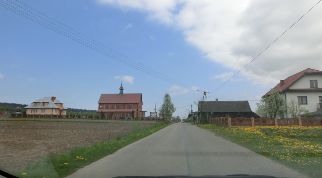 168791-wlf2.jpg