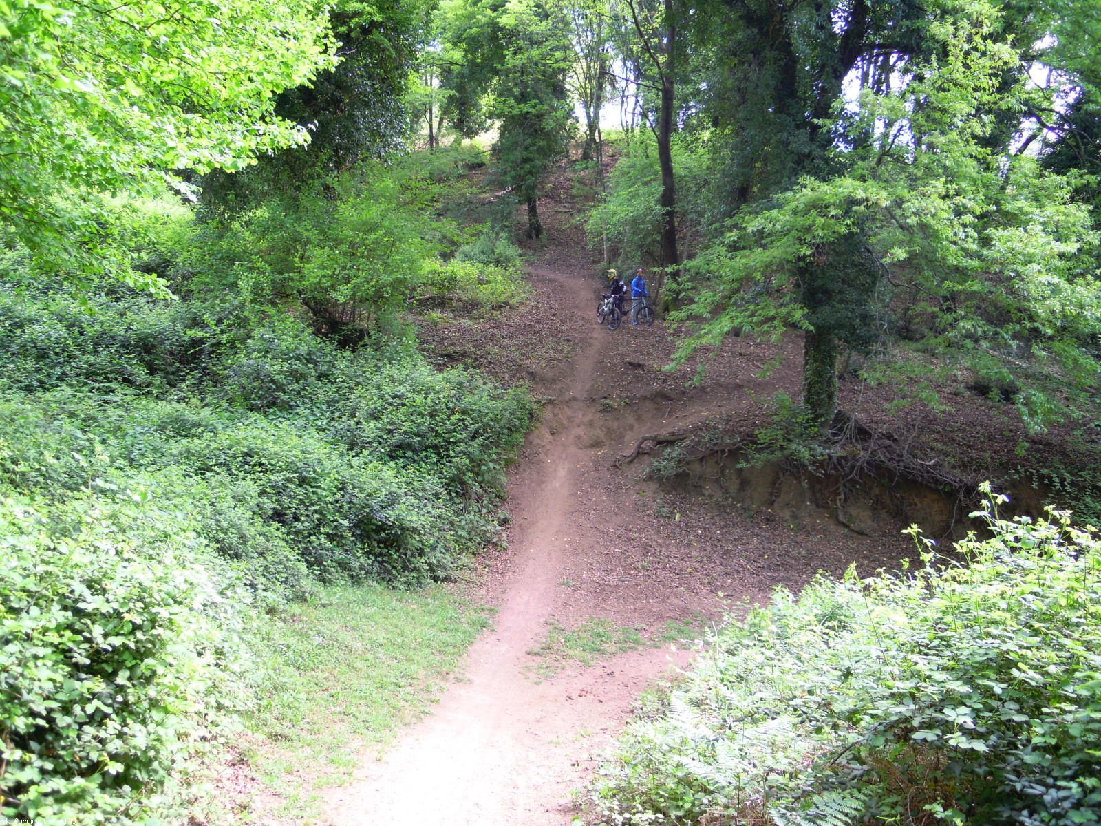 169208-dscn5812.jpg
