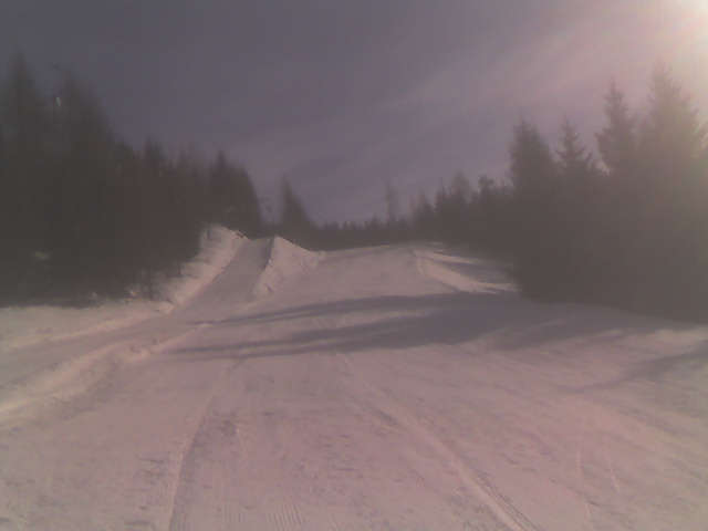 16925-pista-sauris-zheile.jpg