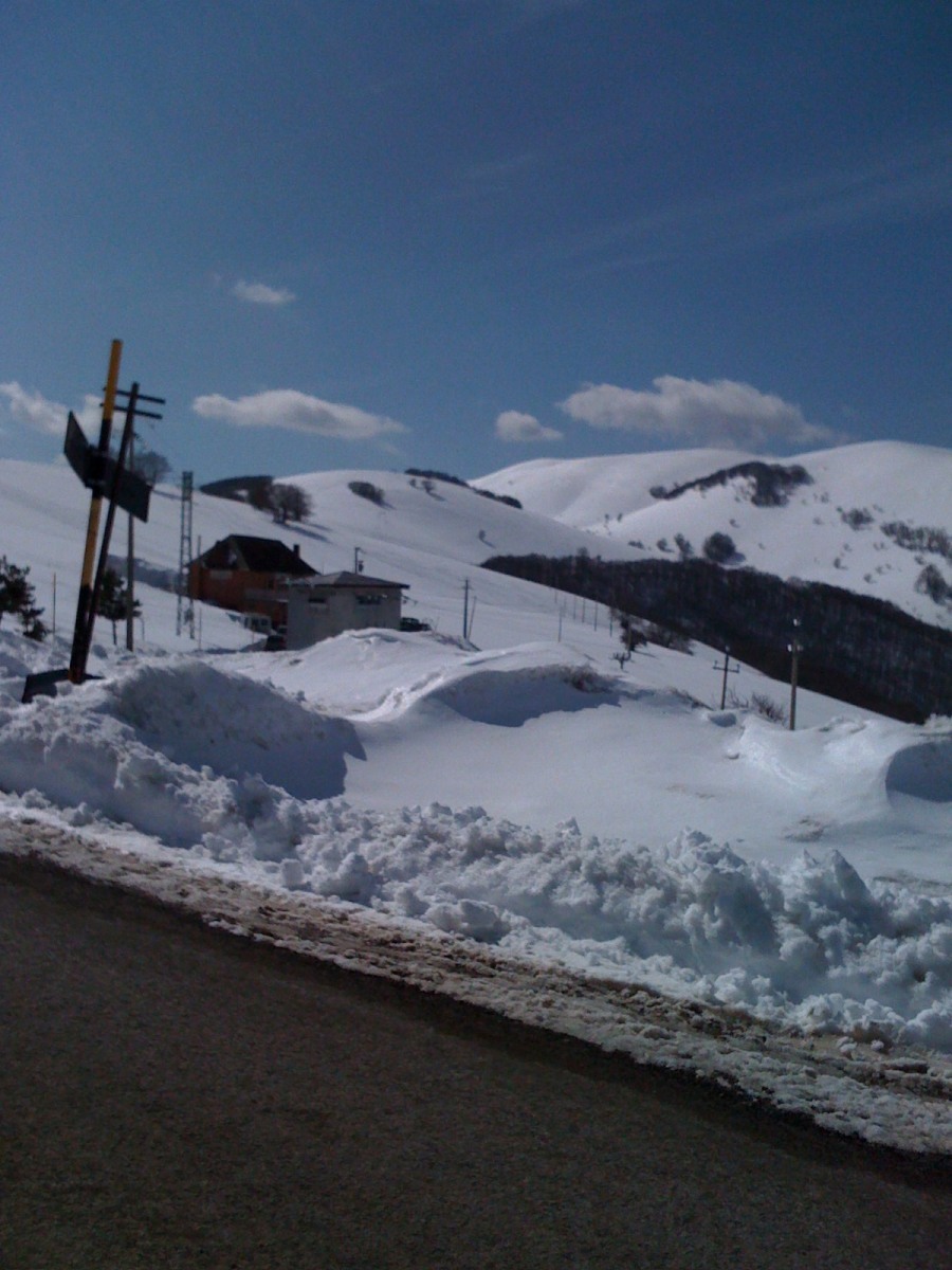 169293-img01071.jpg