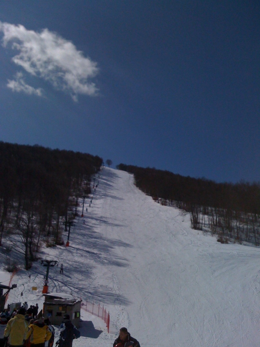 169296-img010411.jpg