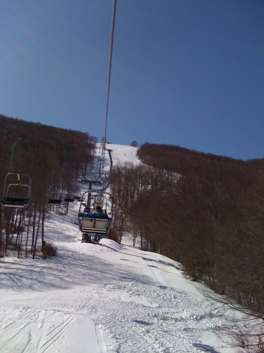 169298-img00731.jpg