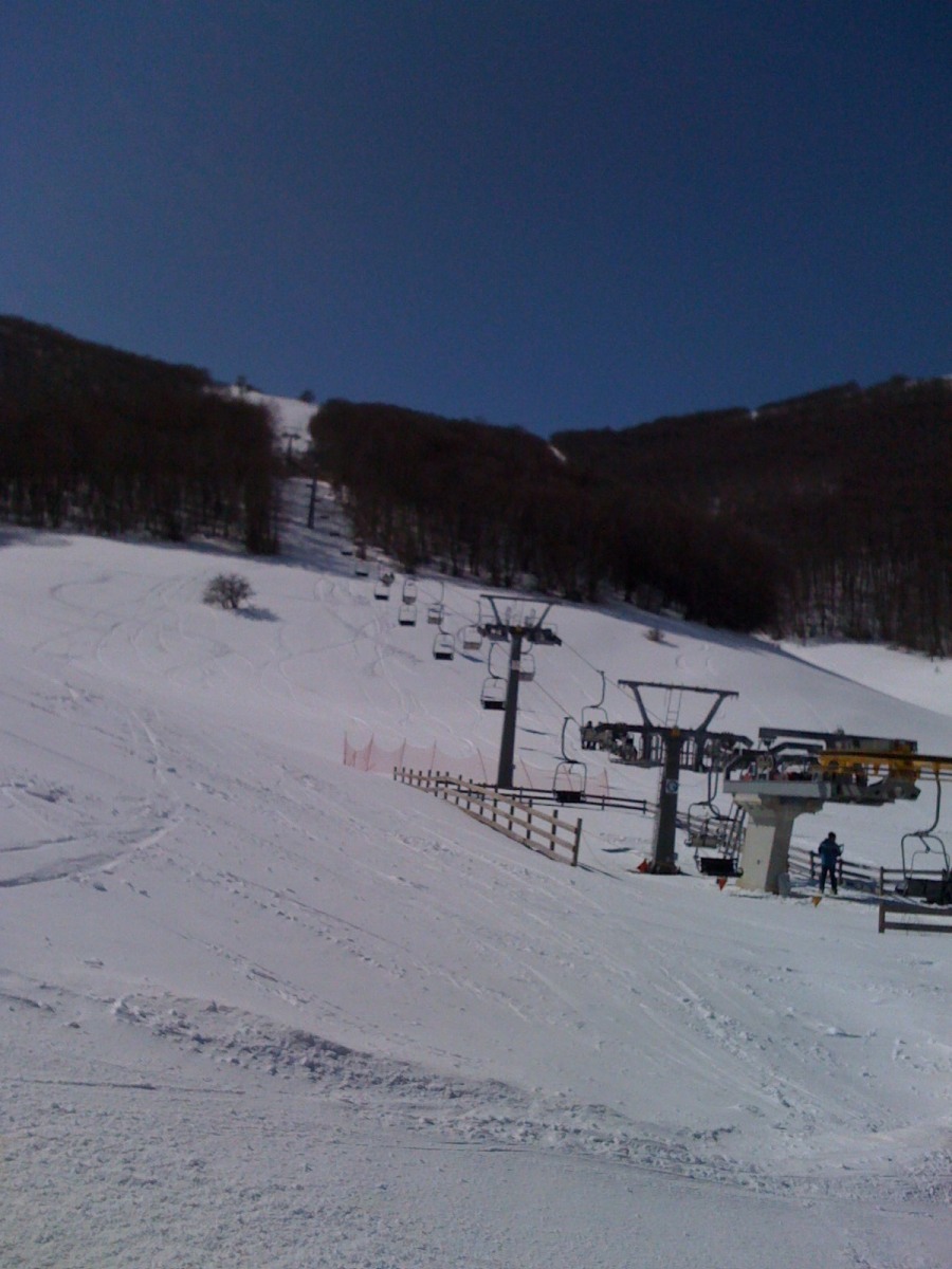 169299-img00671.jpg