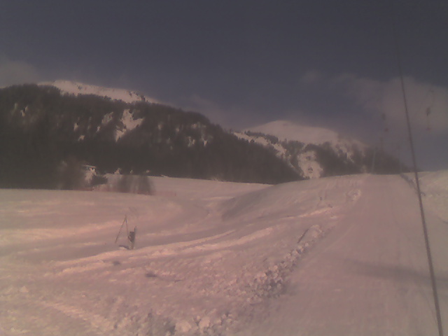16967-sauris2.jpg