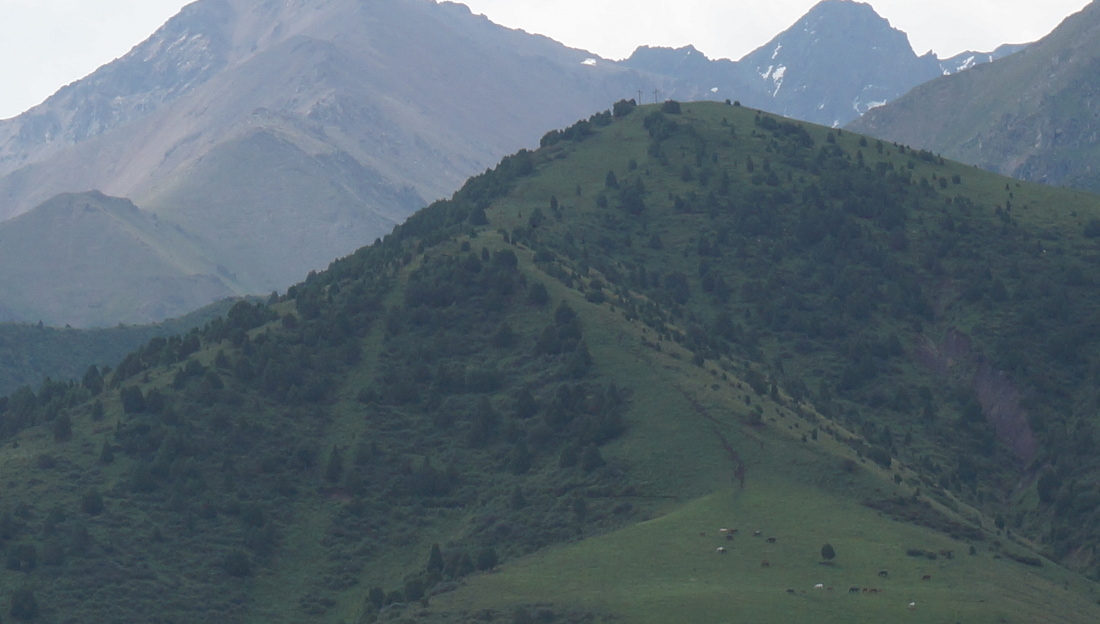 172015-wlf072.jpg