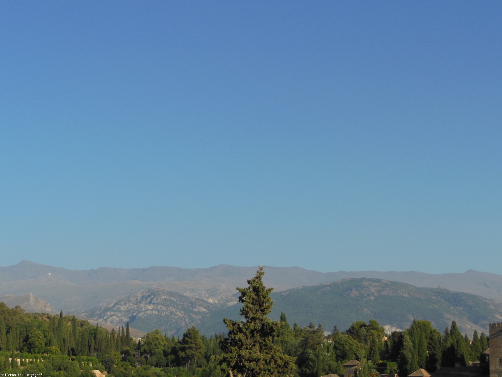 172693-dscn2941.jpg