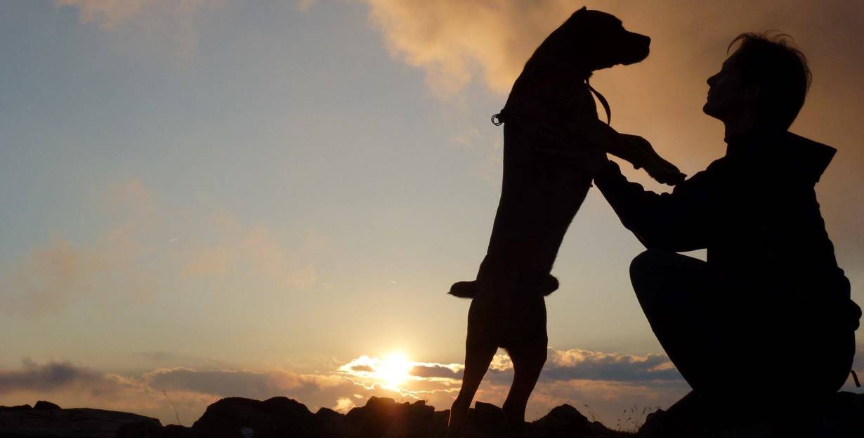 173858-1230x623-tramonto-dal-fravort-foto-marco-pozzato1.jpg