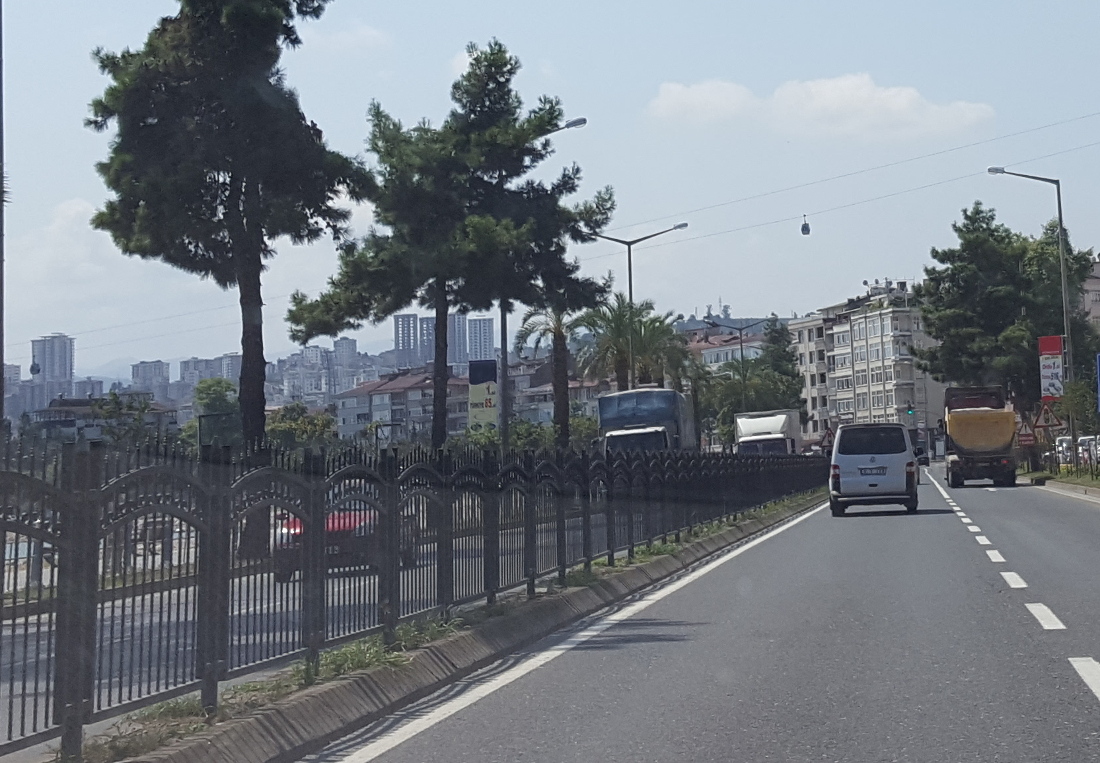 173863-wlfcabinainsalita1.jpg