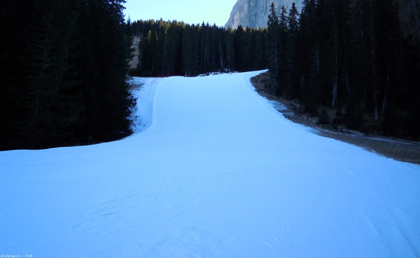 174718-wlf-bianco.jpg