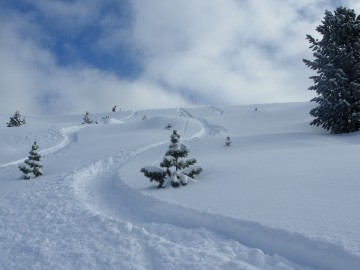 17669-alpe-cermis-05.02.2008-11.jpg