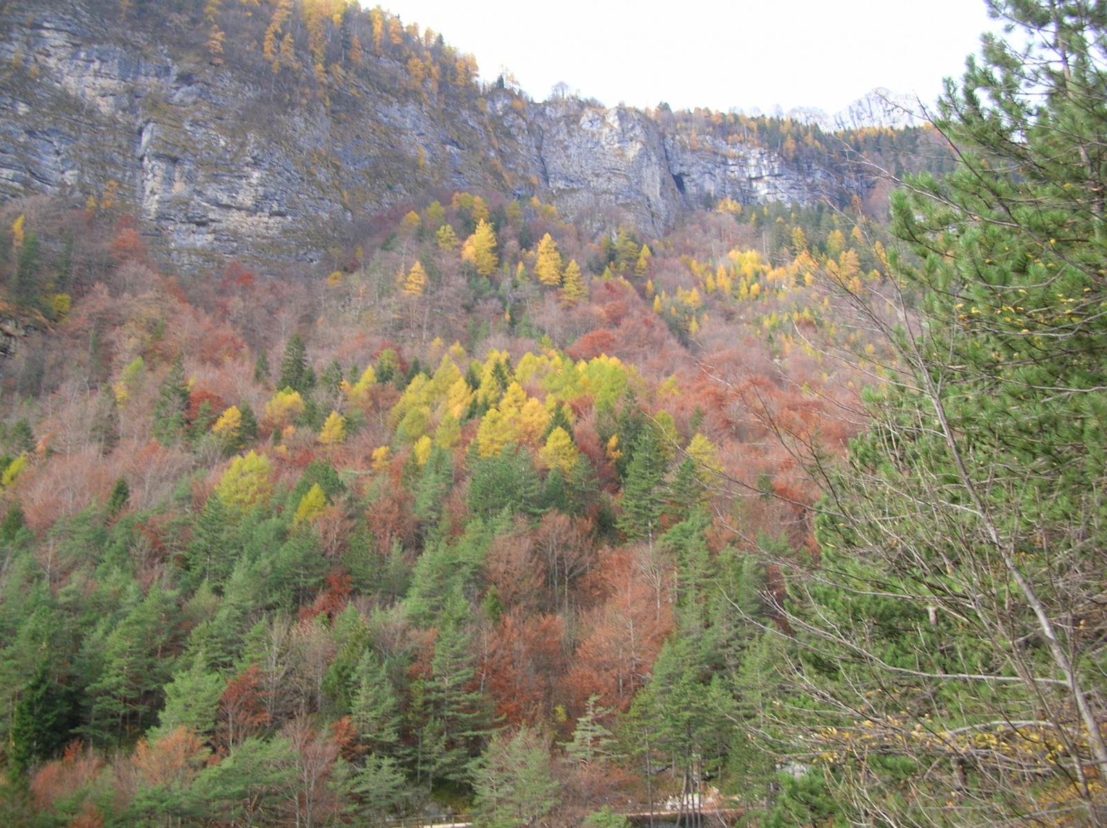 176753-dscn0266.jpg