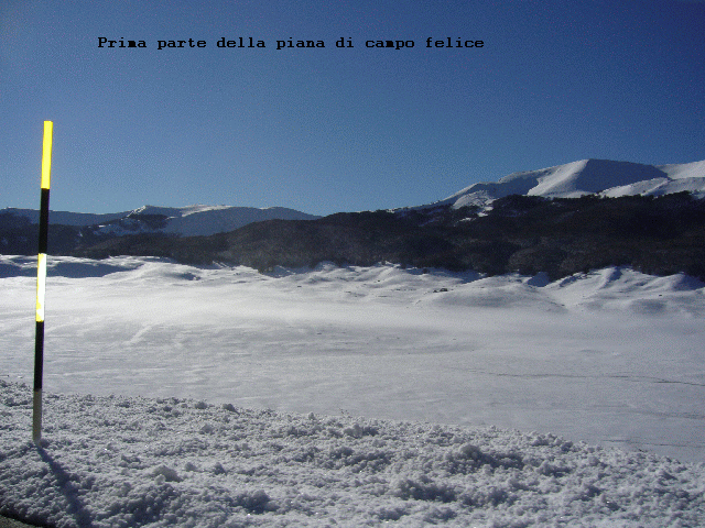 17709-2.gif