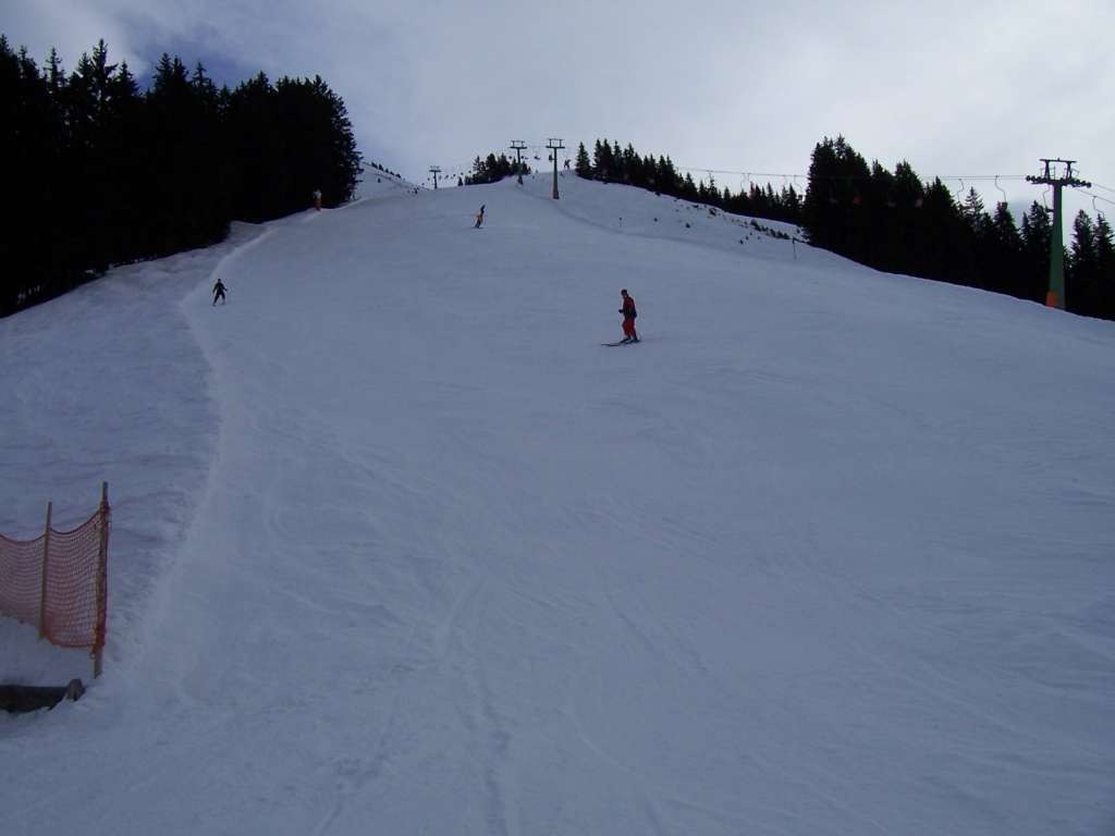 17822-westendorf3.jpg