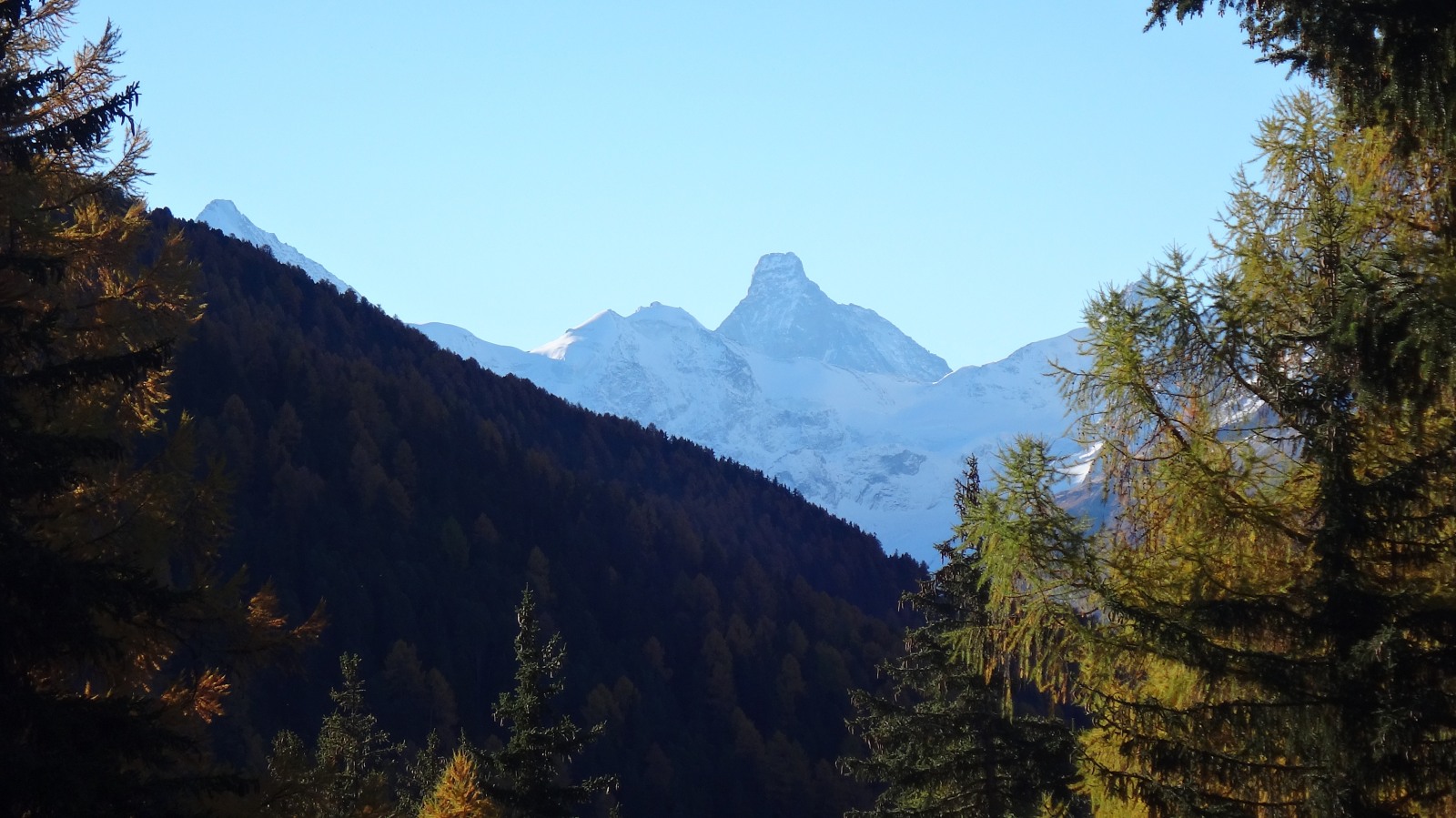 178450-dsc03507.jpg