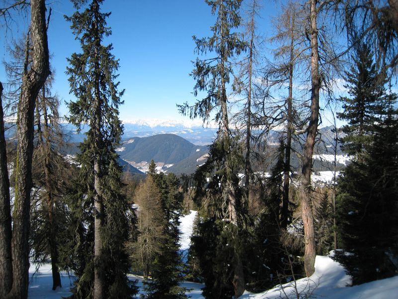 18341-9-10-febbraio-2008-tremolada-037-800x600.jpg