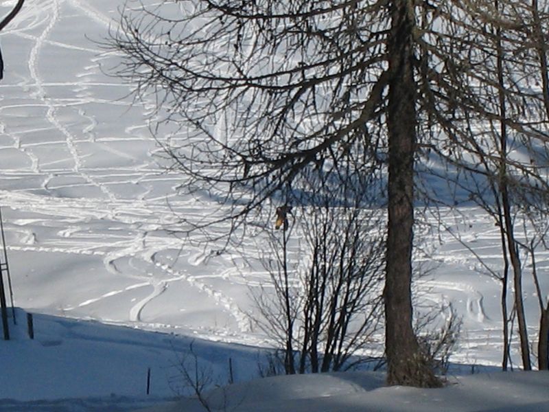 18345-9-10-febbraio-2008-tremolada-044-800x600.jpg
