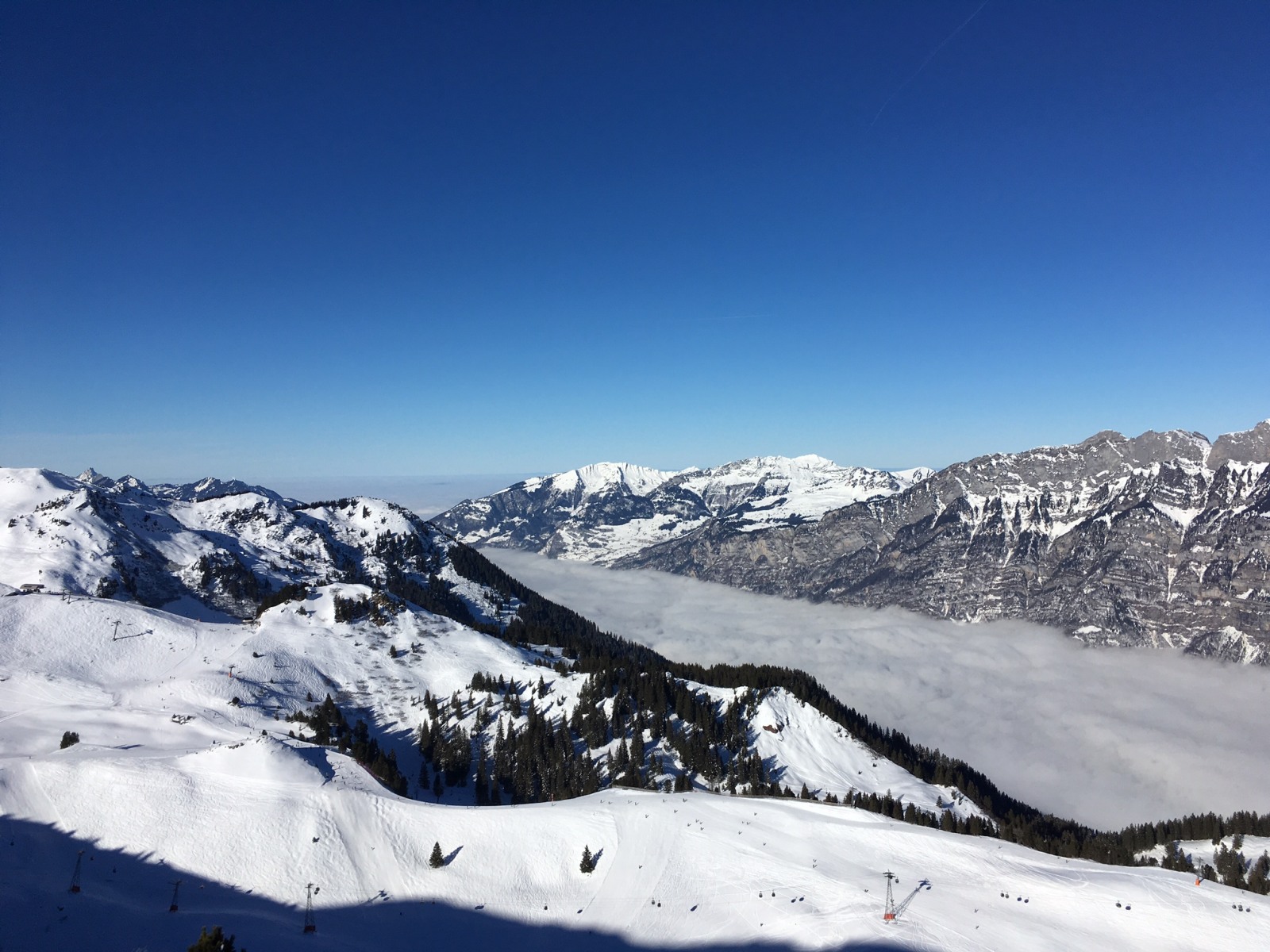 185543-img3717.jpg