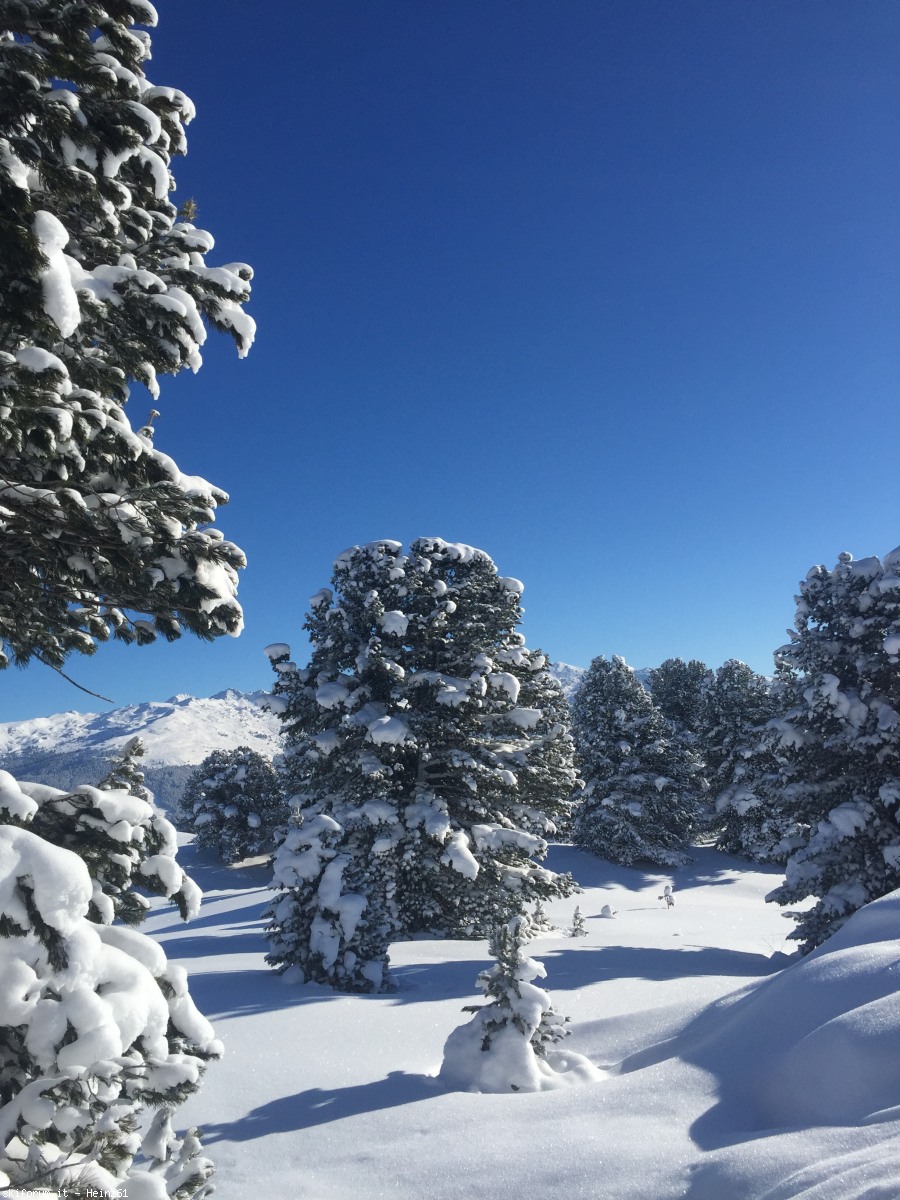 185589-21-zillertal-idyll.jpg