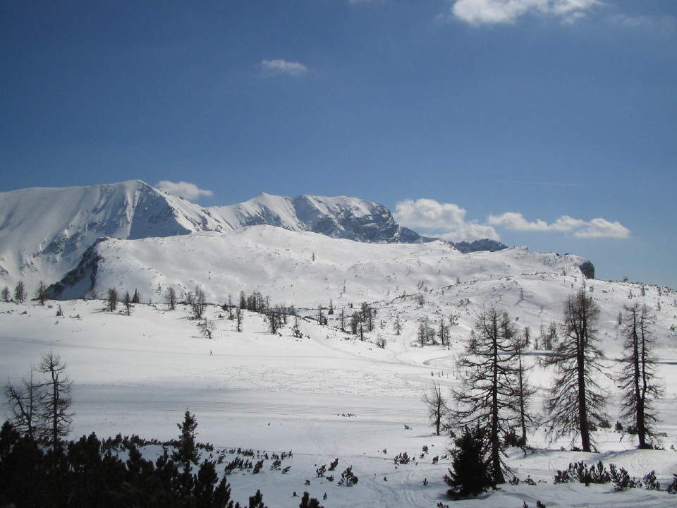 18569-img266211.jpg