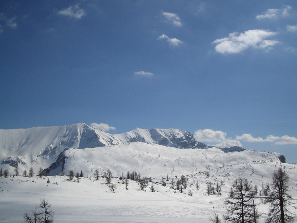 18570-img266321.jpg