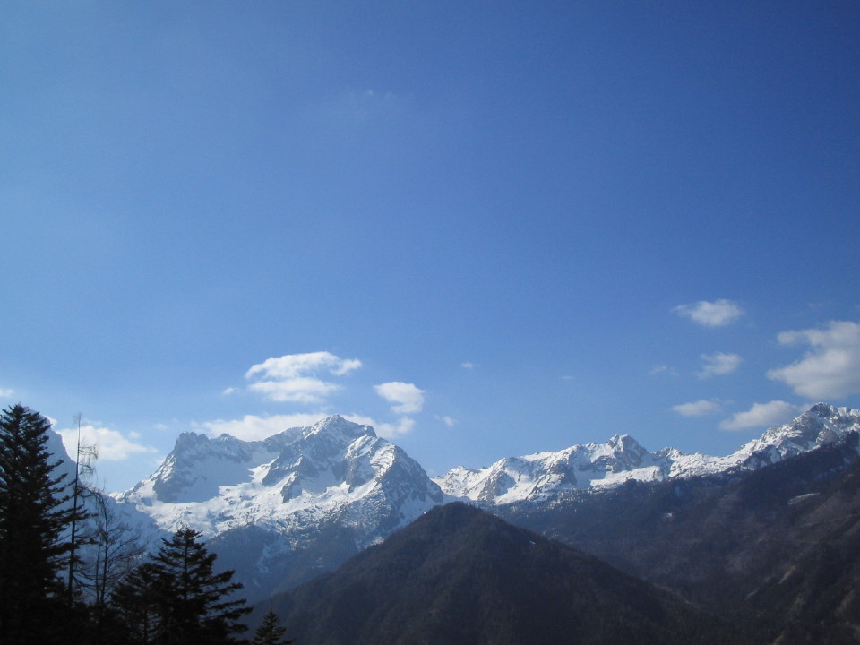 18571-img267151.jpg