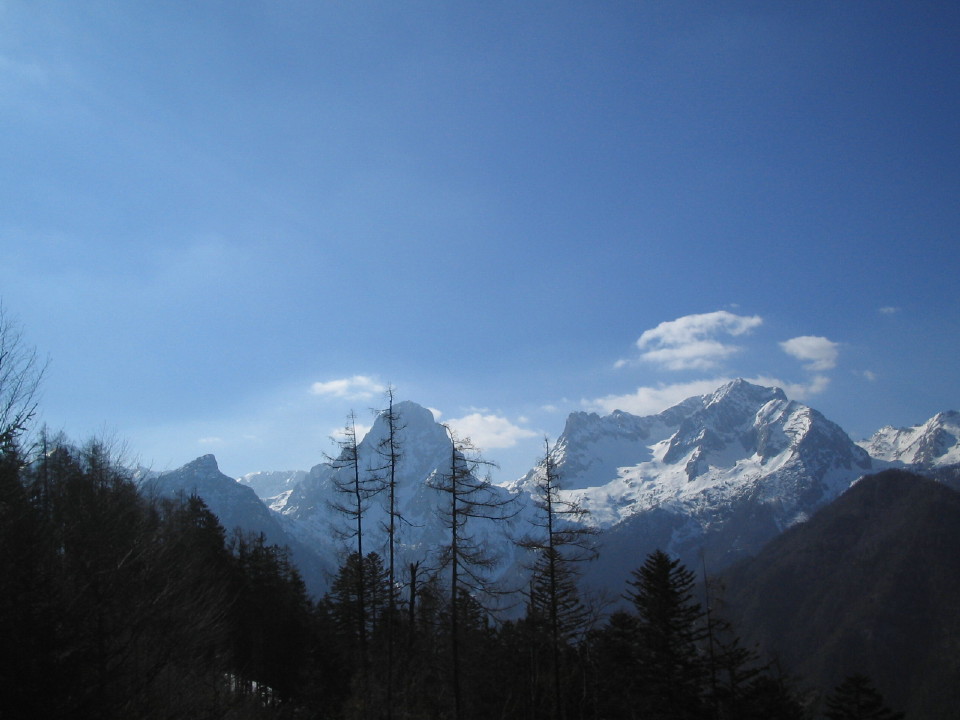 18572-img267041.jpg