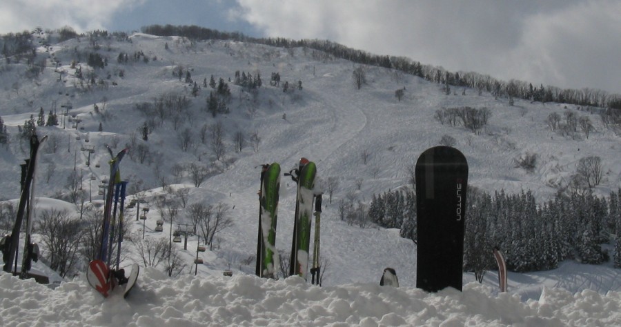 18624-img0135.jpg