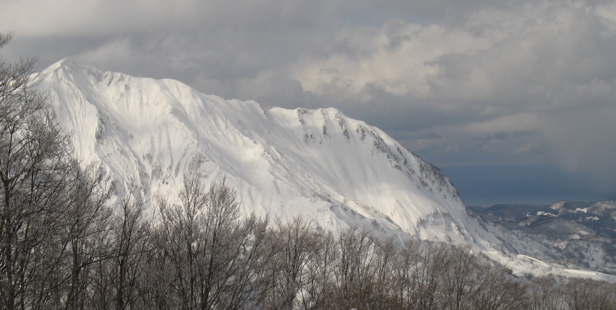 18626-img0146.jpg