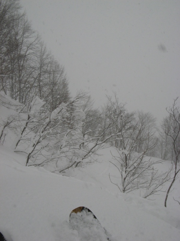 18642-img0160.jpg