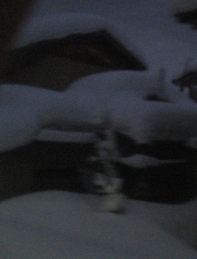 18655-img0256.jpg