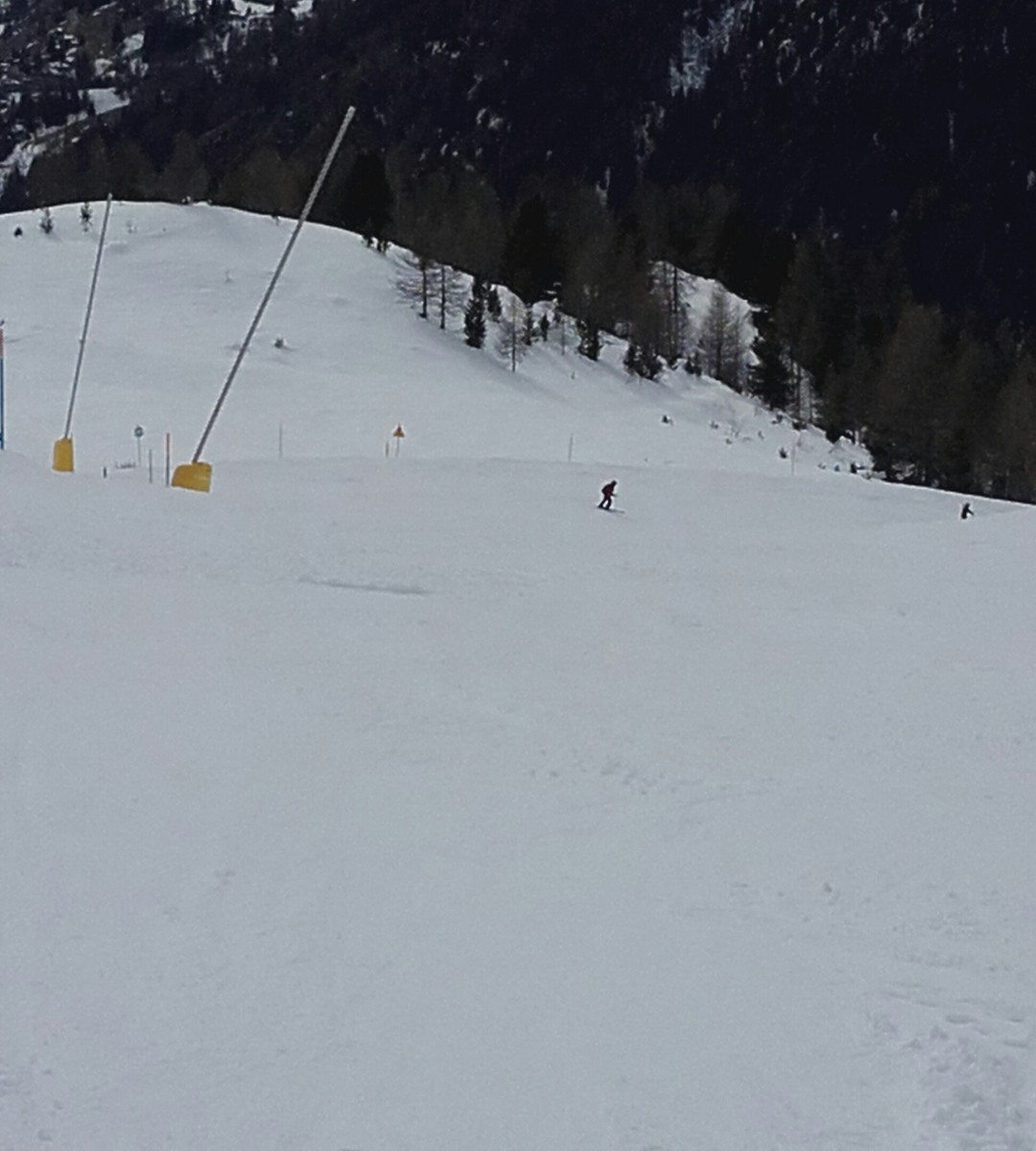 189061-20170226135200-1.jpg