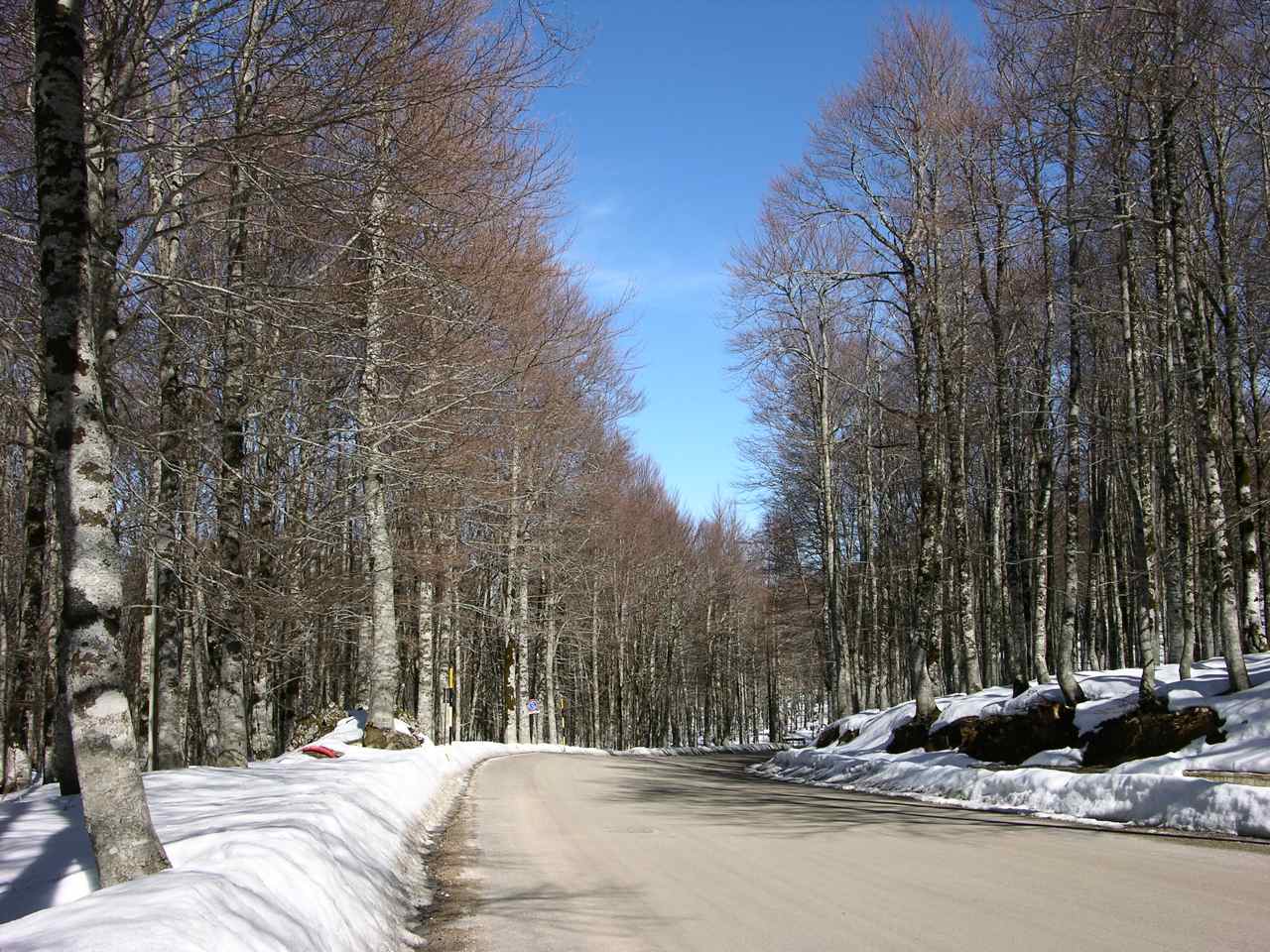18976-dscn9511.jpg