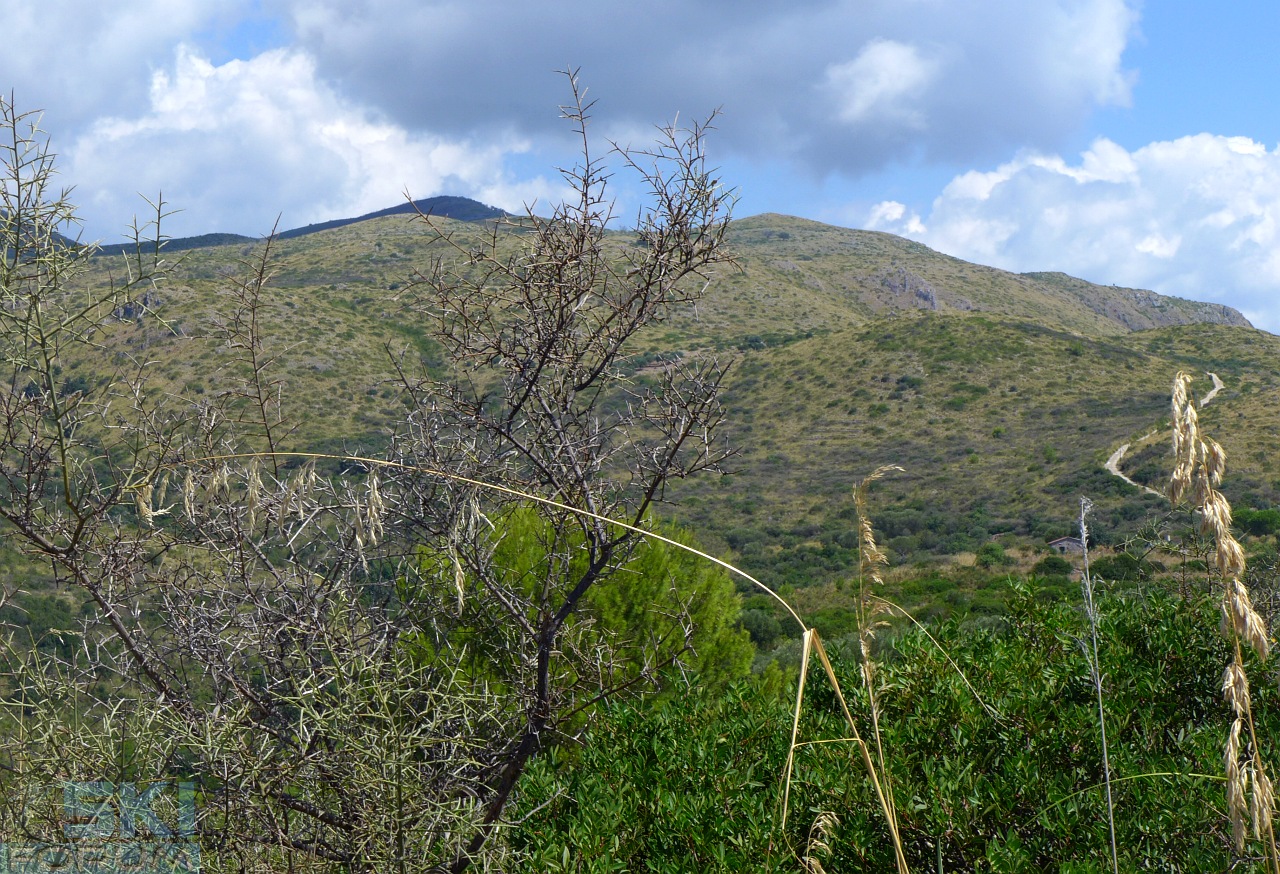 195247-panorama.jpg