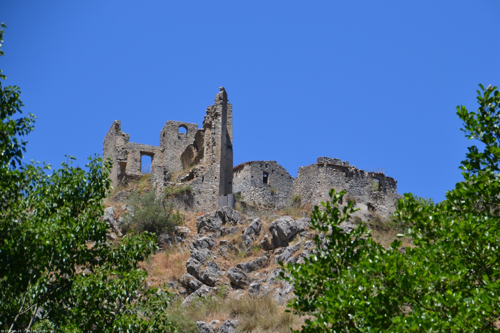 196386-dsc0022.jpg