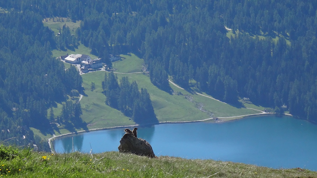 197138-piz-nair-2017-077-copia.jpg