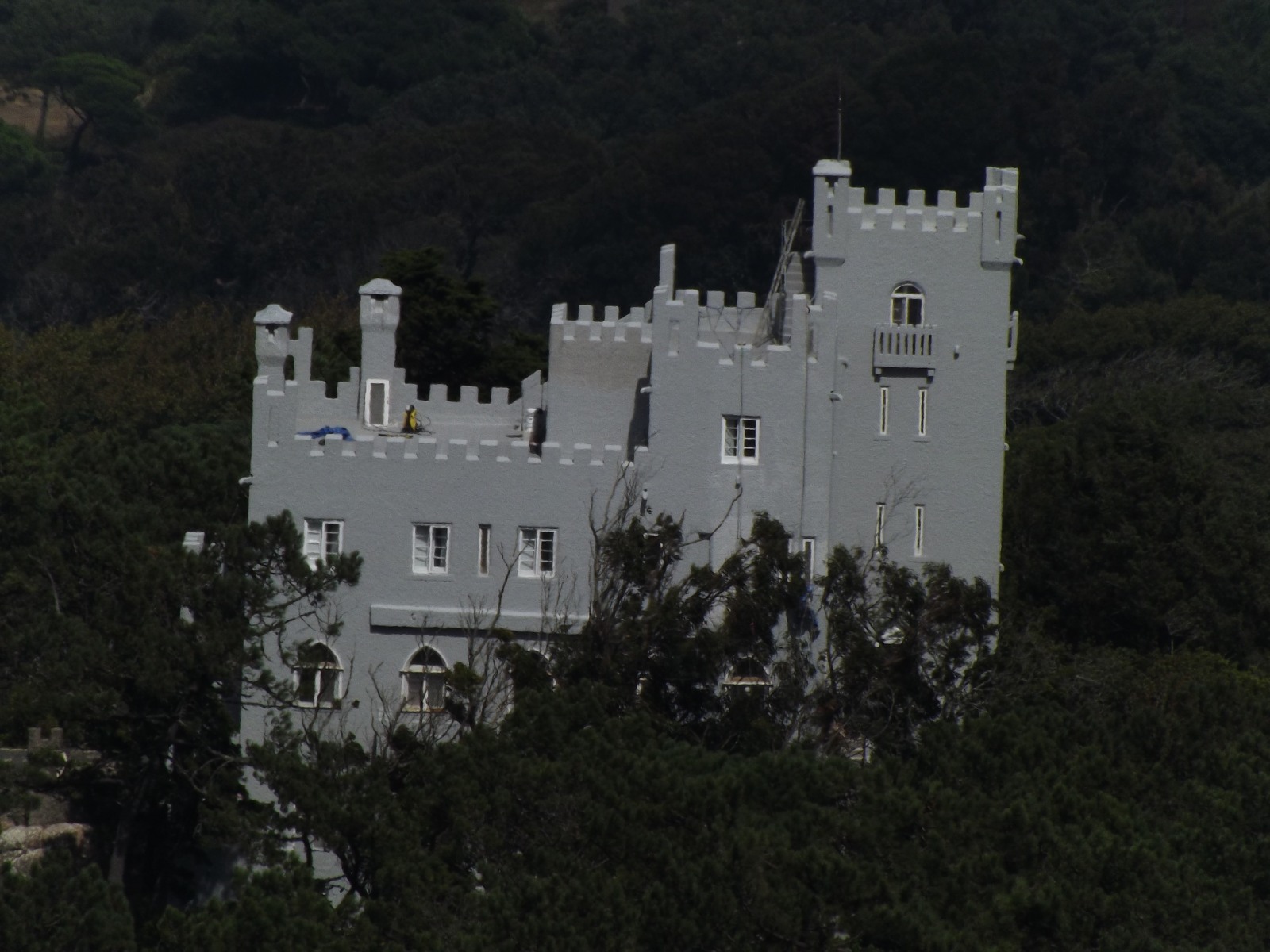 198835-dscf3864.jpg