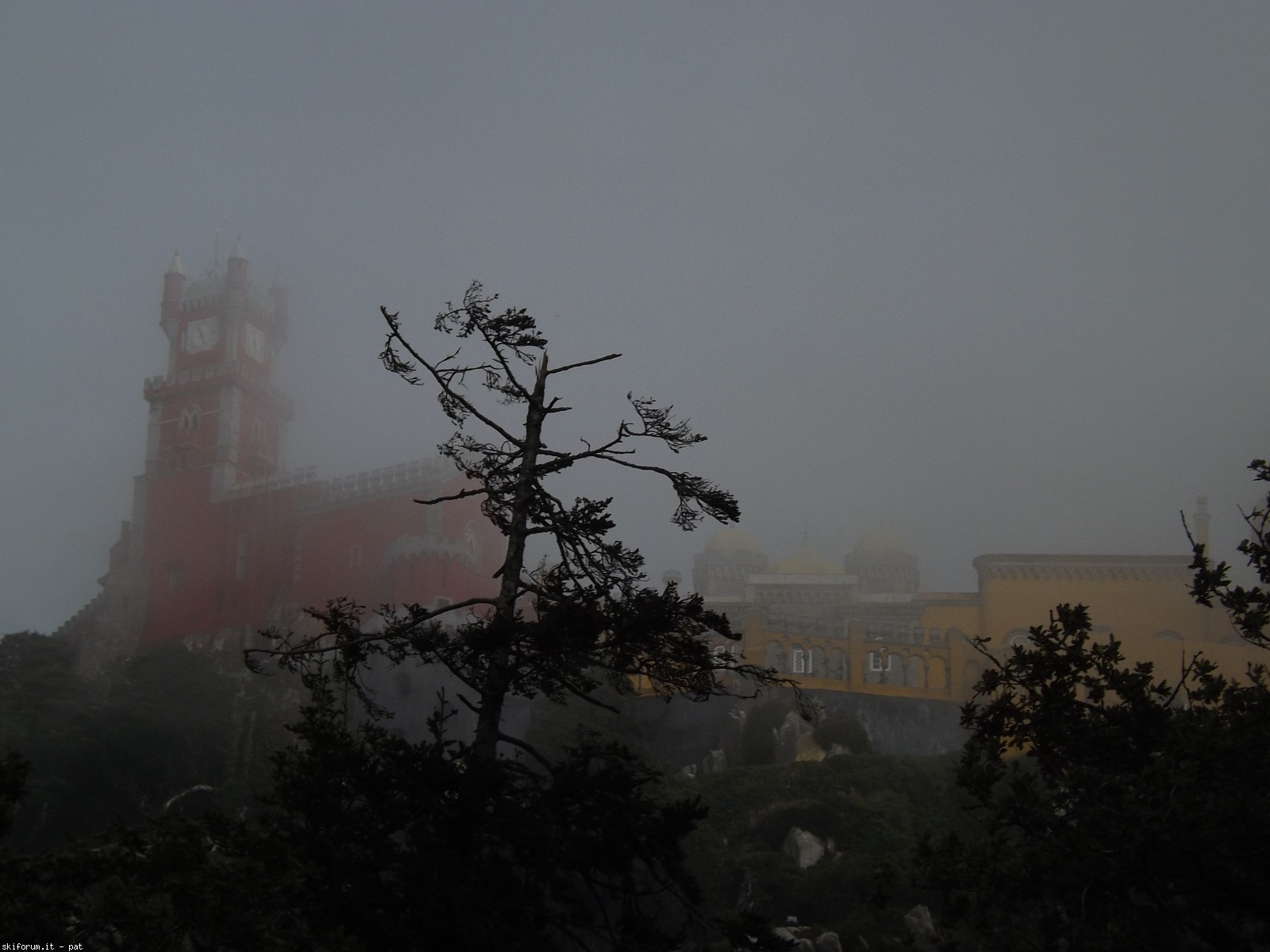 198843-dscf3892.jpg