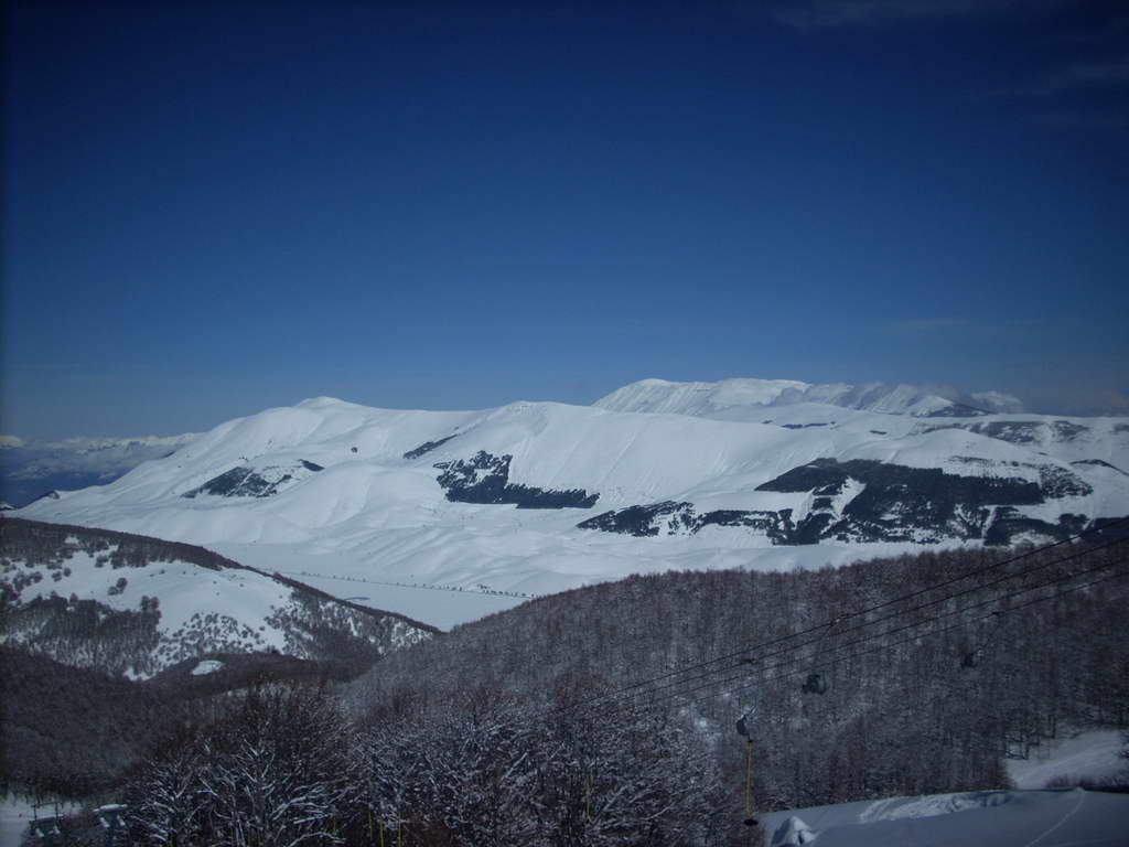 19927-tanta.jpg