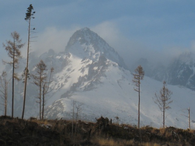 19998-tatra.jpg