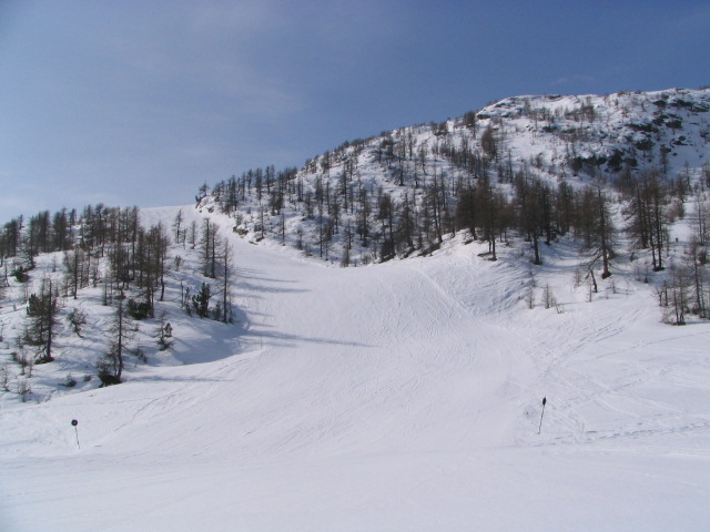 20003-immagine-006.jpg