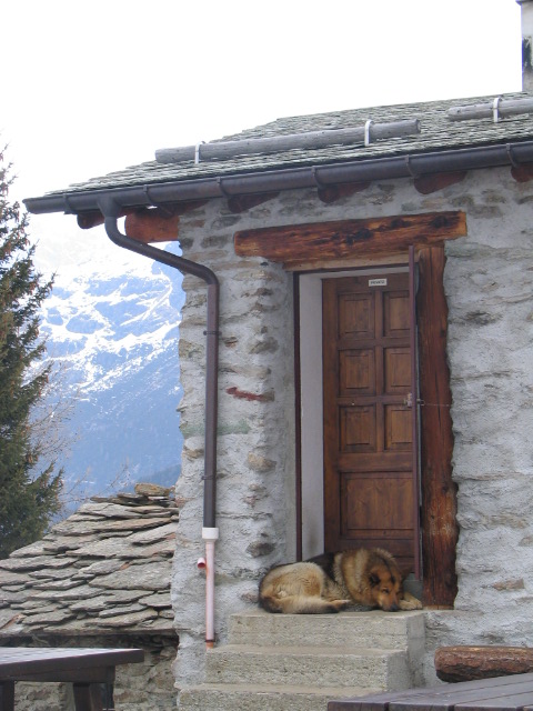 20009-immagine-022.jpg