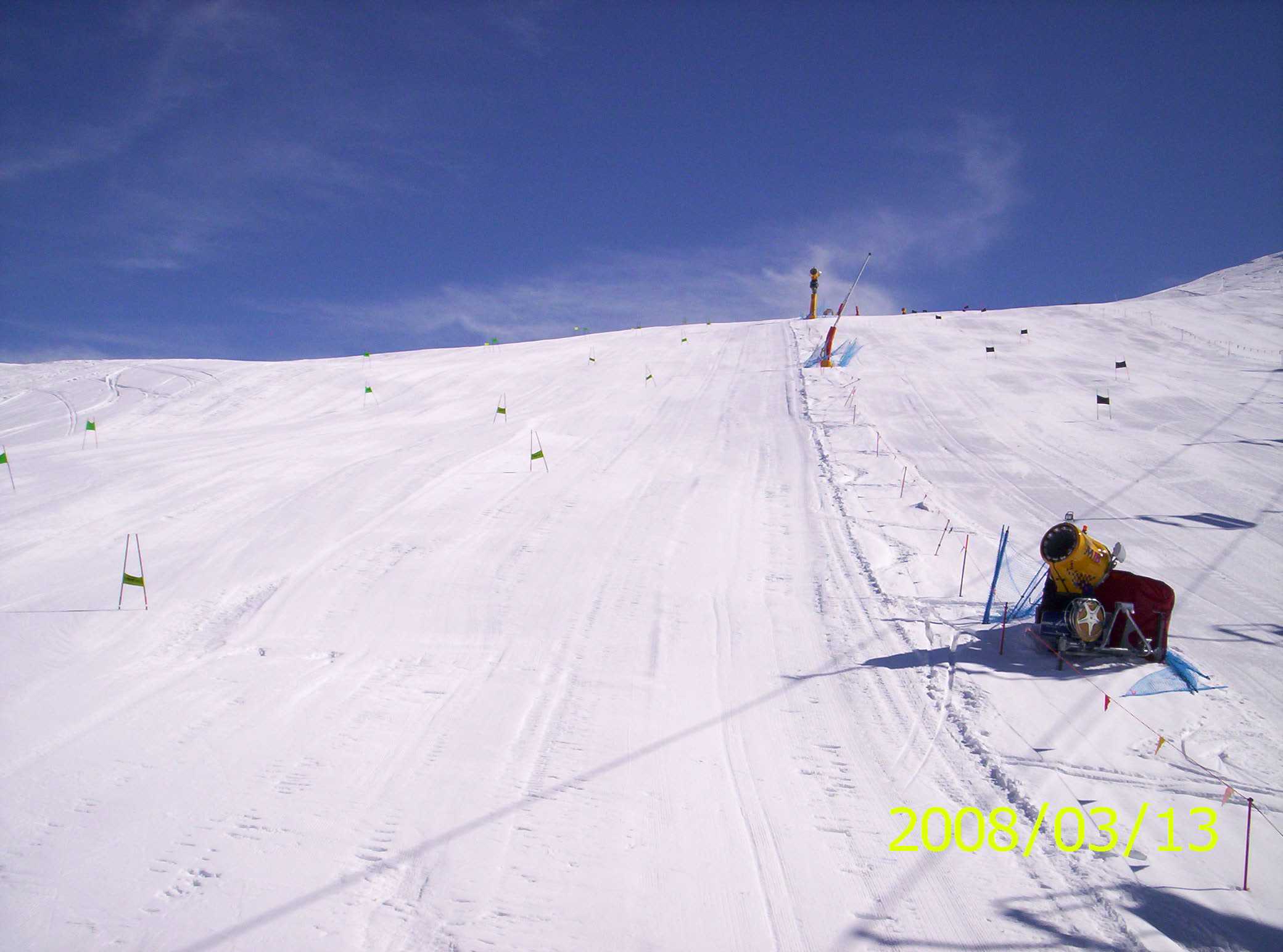 20478-pistona-preparata.jpg