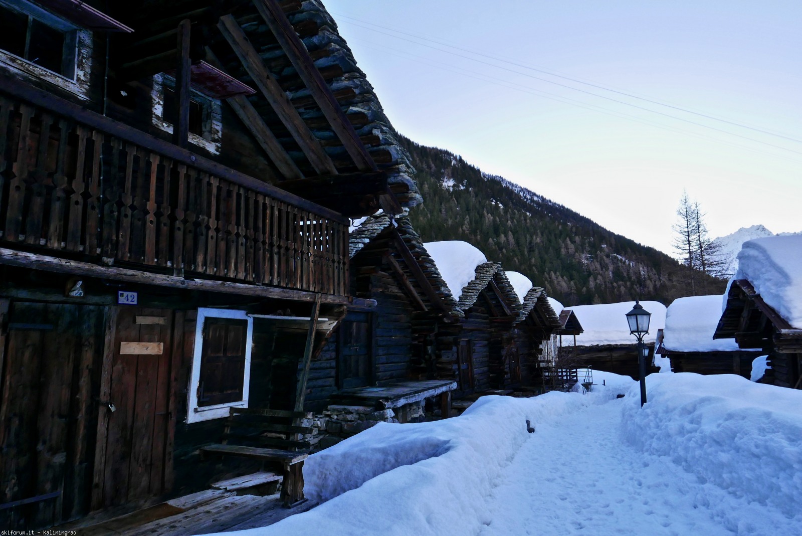 212470-l1010057.jpg