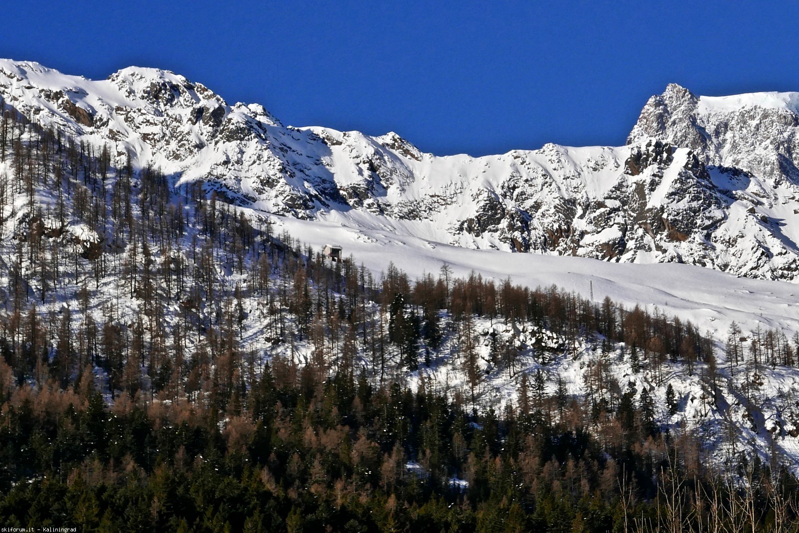 212471-l1010060.jpg