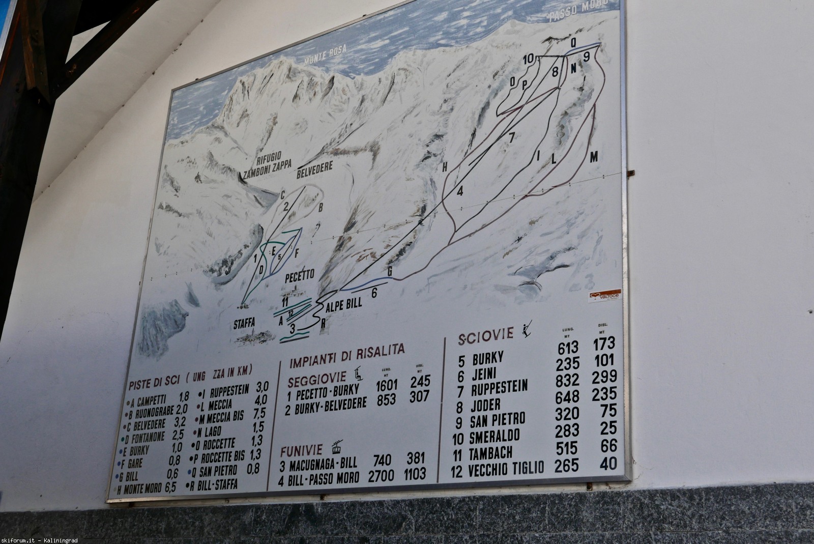 212475-l1010067.jpg