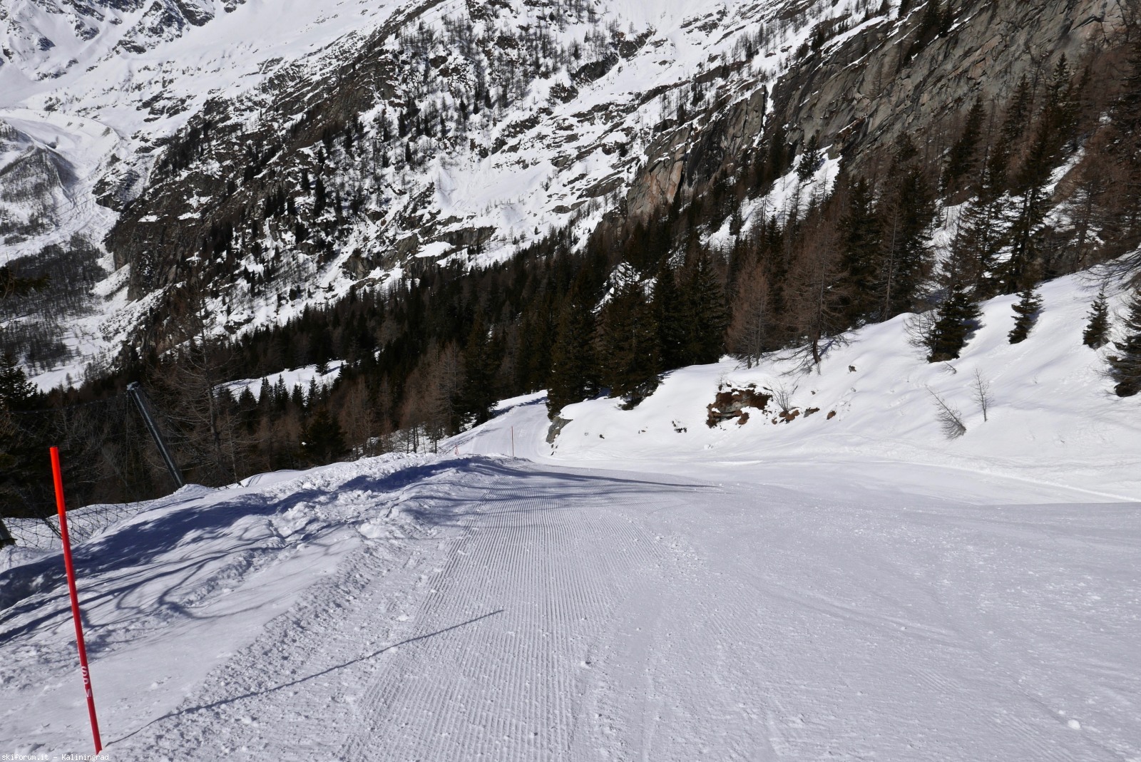 212493-l1010102.jpg