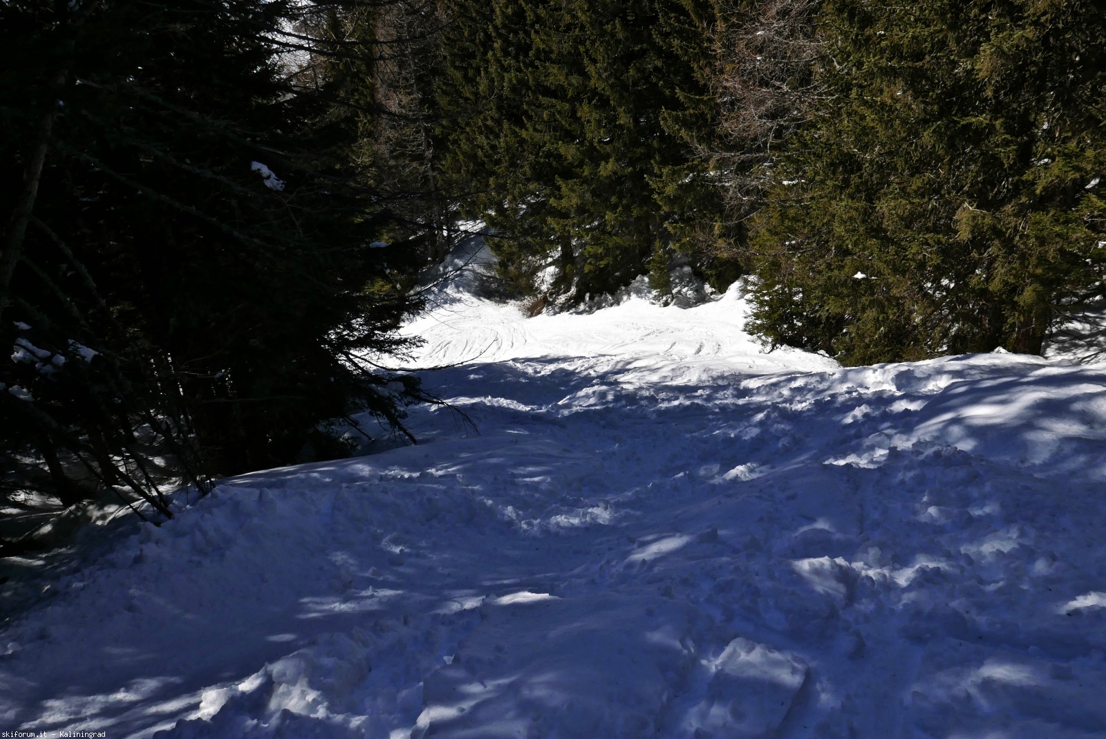 212504-l1010130.jpg