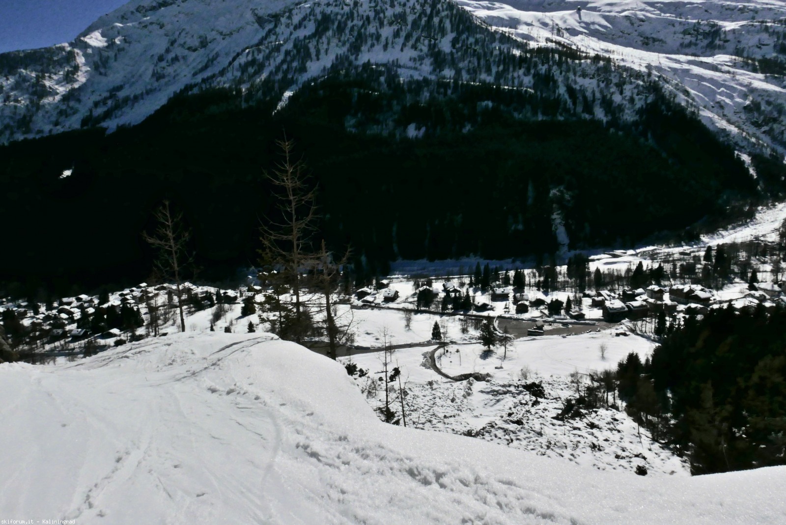 212512-l1010138.jpg