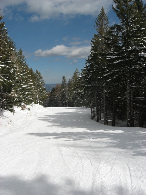 21362-pista-cimoncino.jpg
